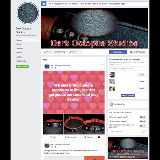 Screenshot of Dark Octopus Studios Facebook Page